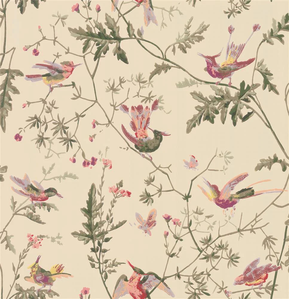 Humming Birds Wallpaper by Cole & Son