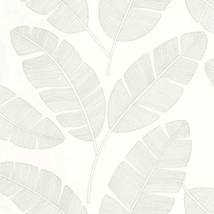 Banana Tree Wallpaper