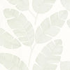 Moonlight Banana Tree Wallpaper by Caselio