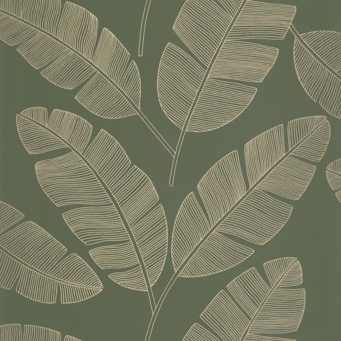 Banana Tree Wallpaper