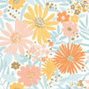 Light Blue and Orange