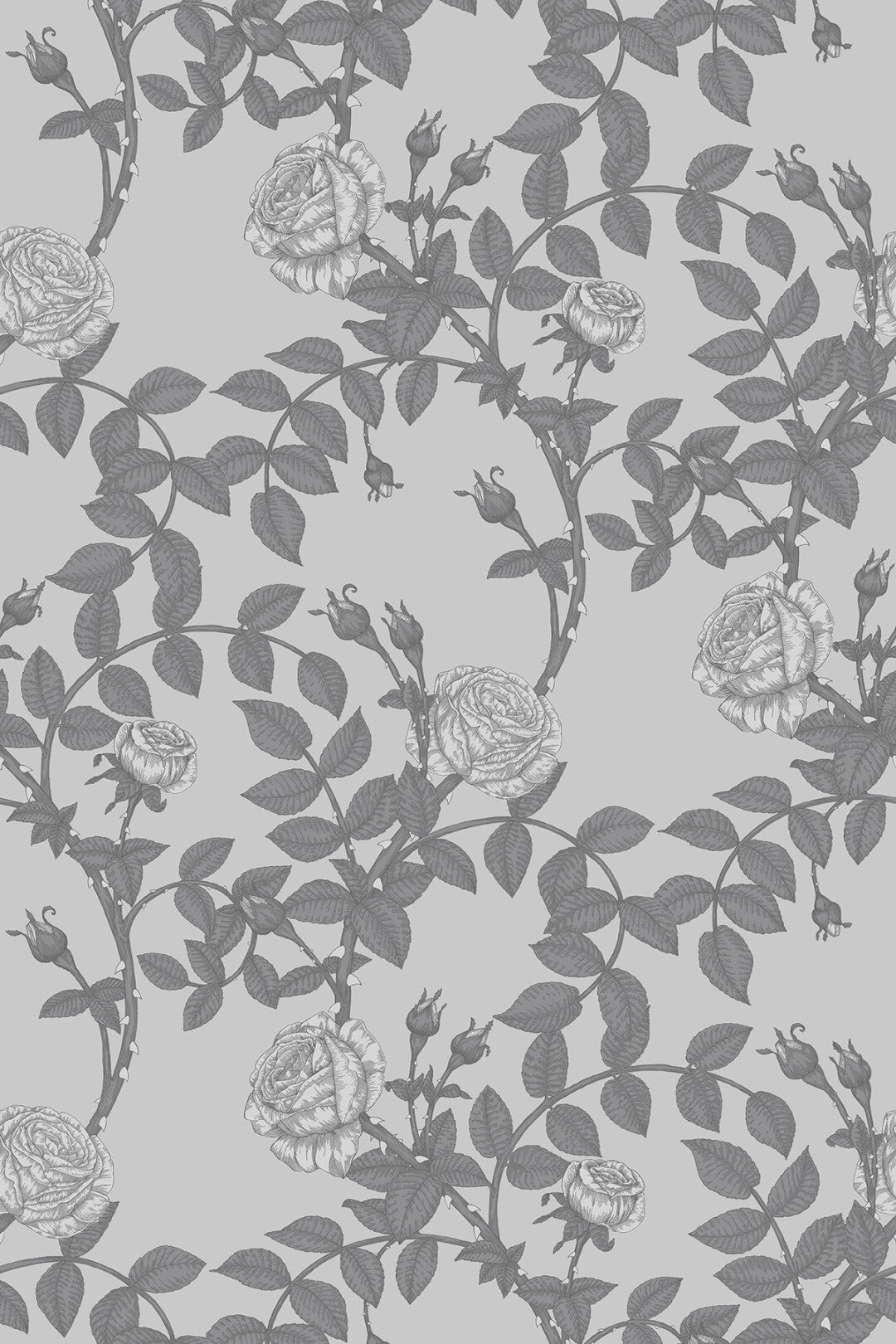 McGegan Rose Wallpaper by Timorous Beasties