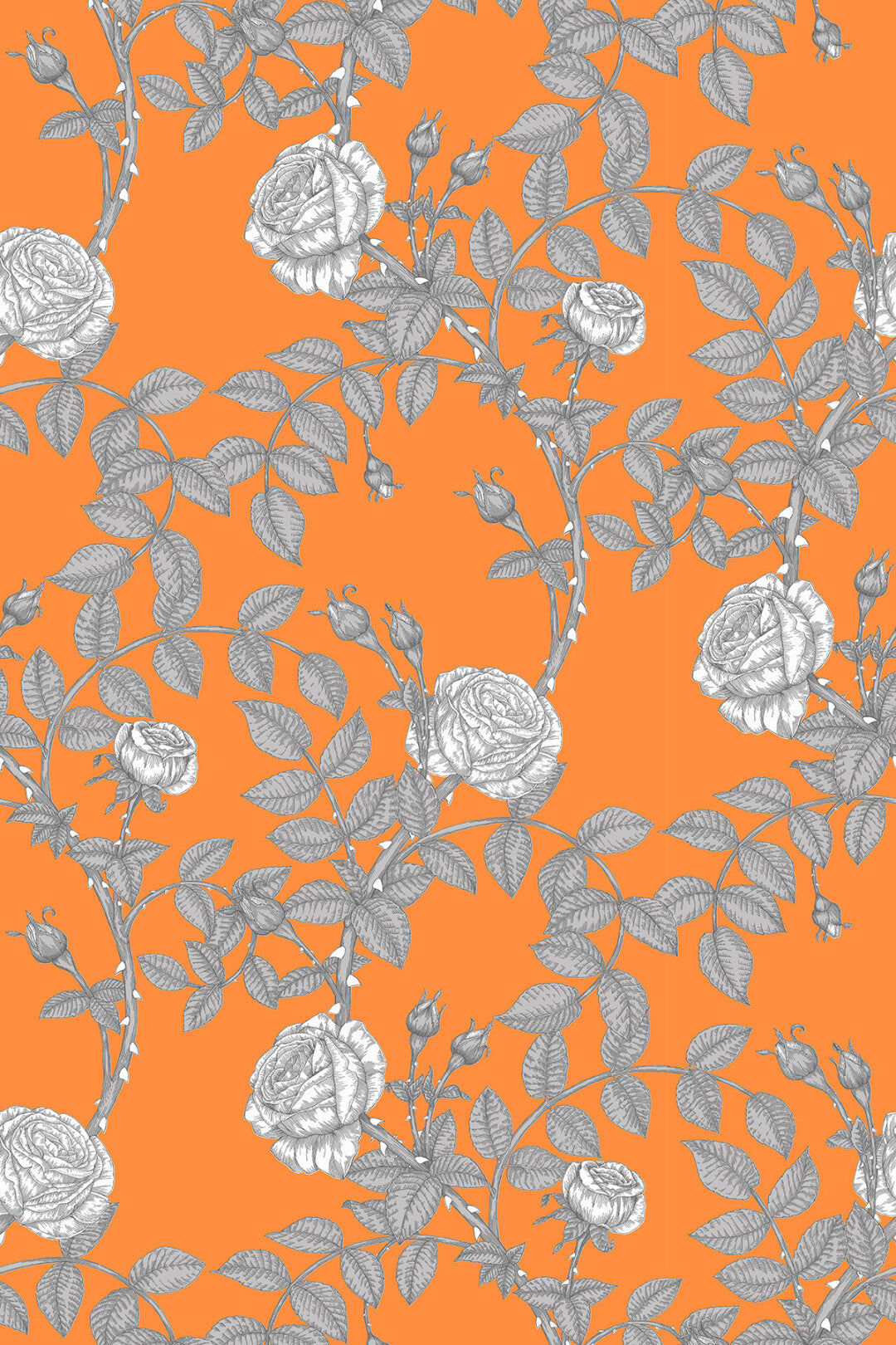 McGegan Rose Wallpaper by Timorous Beasties