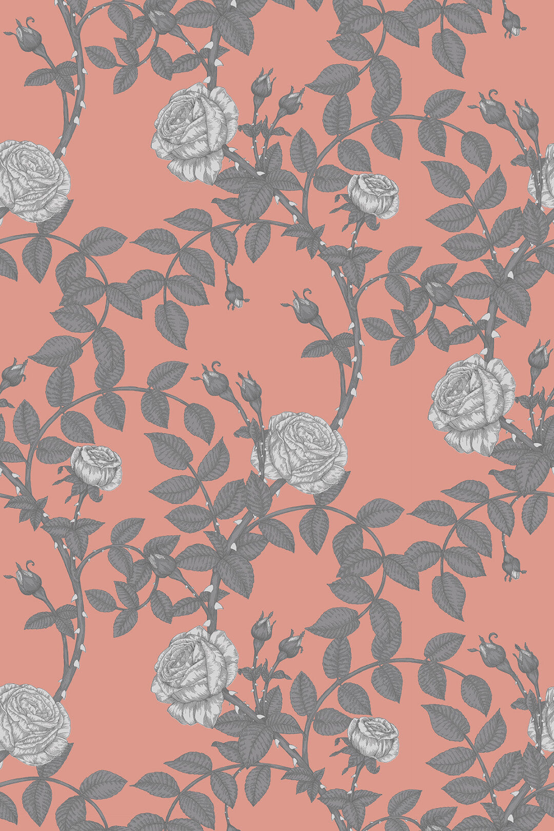 McGegan Rose Wallpaper by Timorous Beasties
