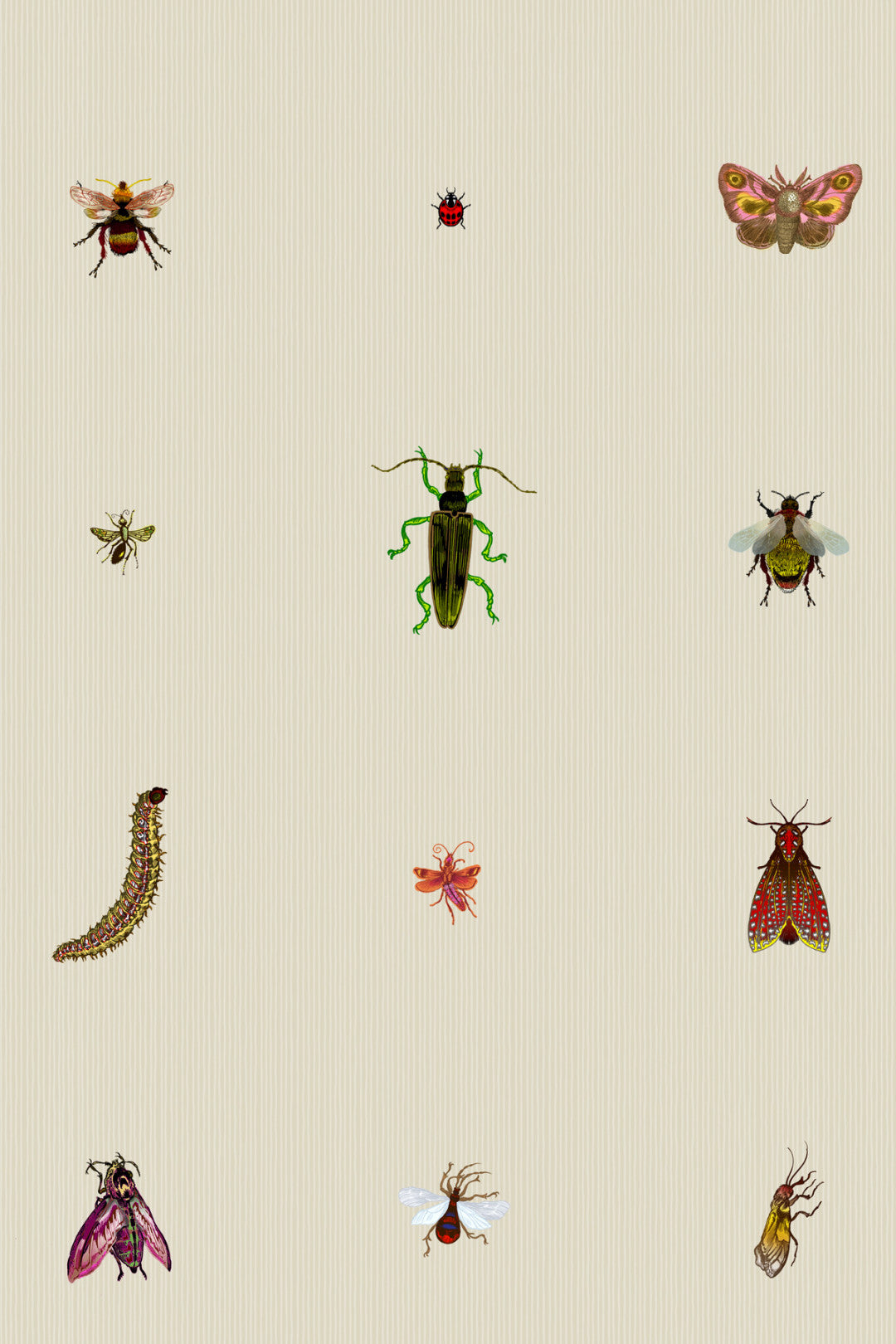 Insect Grid Wallpaper