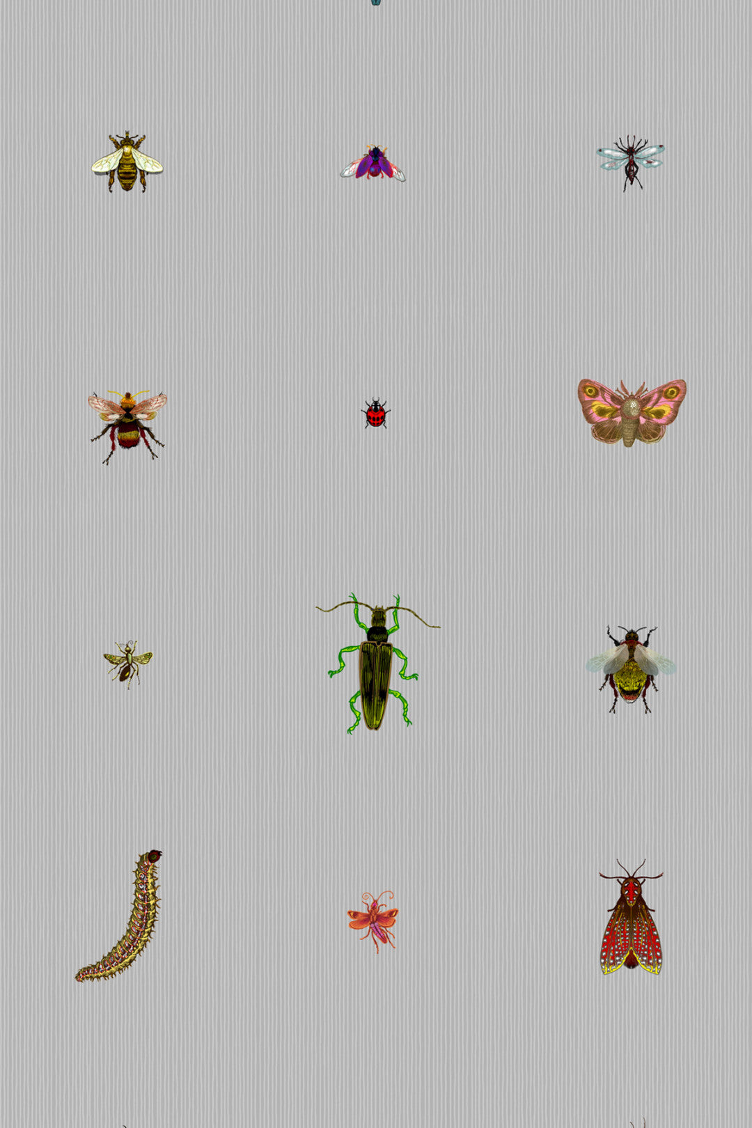 Insect Grid Wallpaper