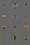Insect Grid Wallpaper