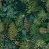 Midnight Woods Wallpaper by Holden Decor