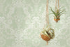 Bow Damask Wallpaper by Holden Decor
