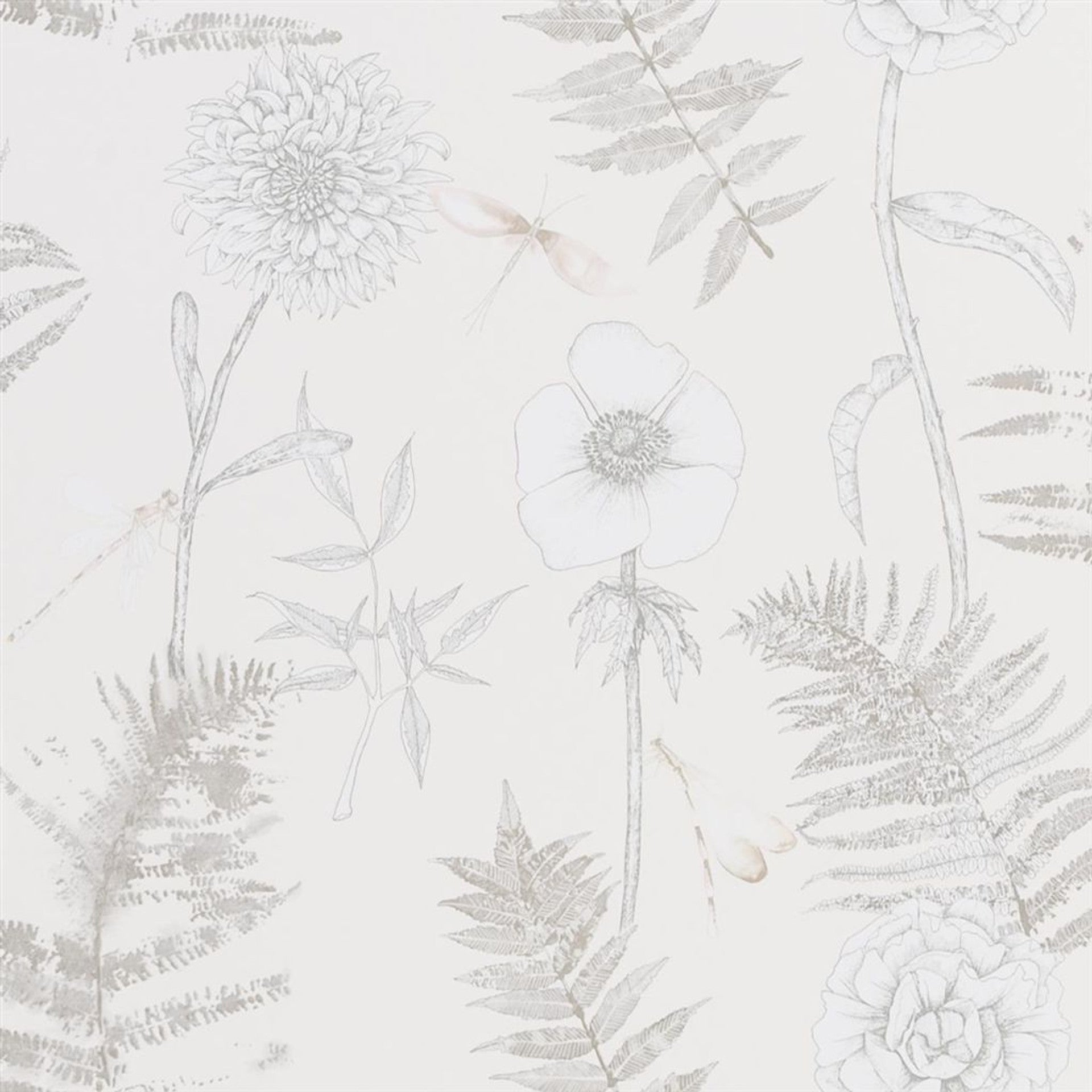 Acanthus Wallpaper by Designers Guild