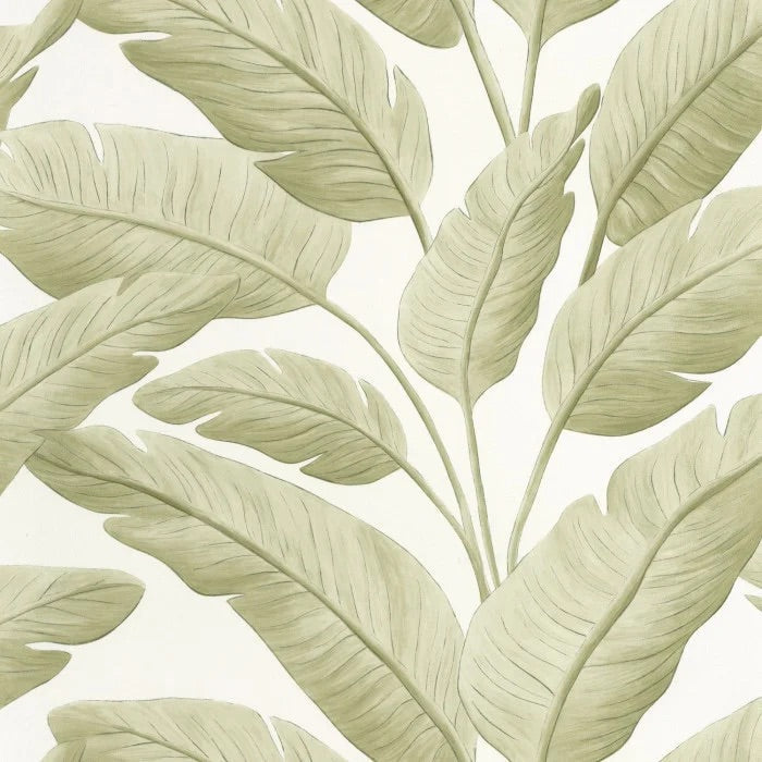 Tropicalia Wallpaper