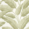 Tropicalia Wallpaper by Caselio