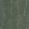 Nuance Wallpaper by Caselio