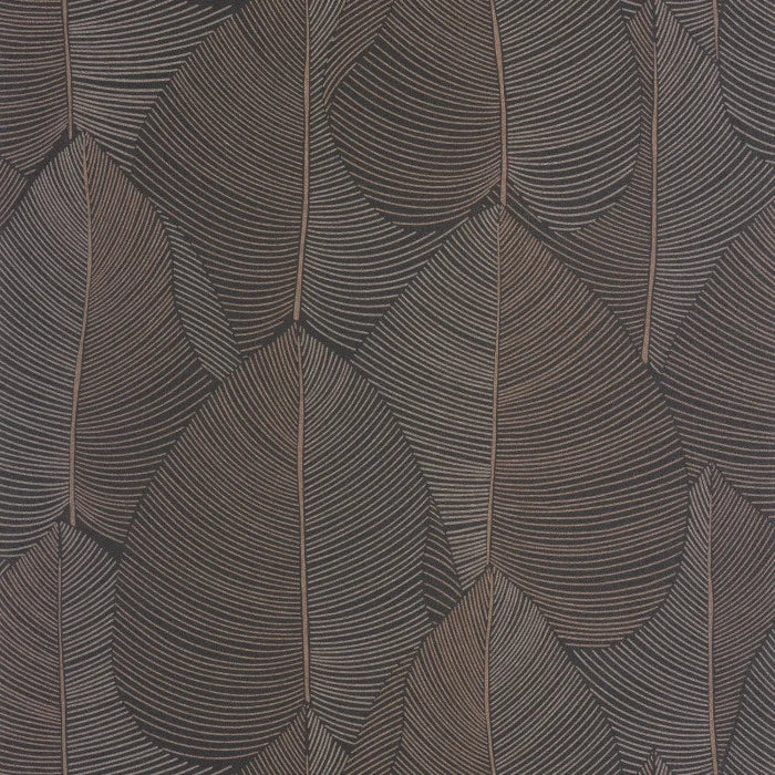 Nuance Wallpaper by Caselio