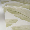 Tropicalia Wallpaper by Caselio