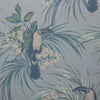 Le Toucan Luxury Bird Wallpaper by 1838