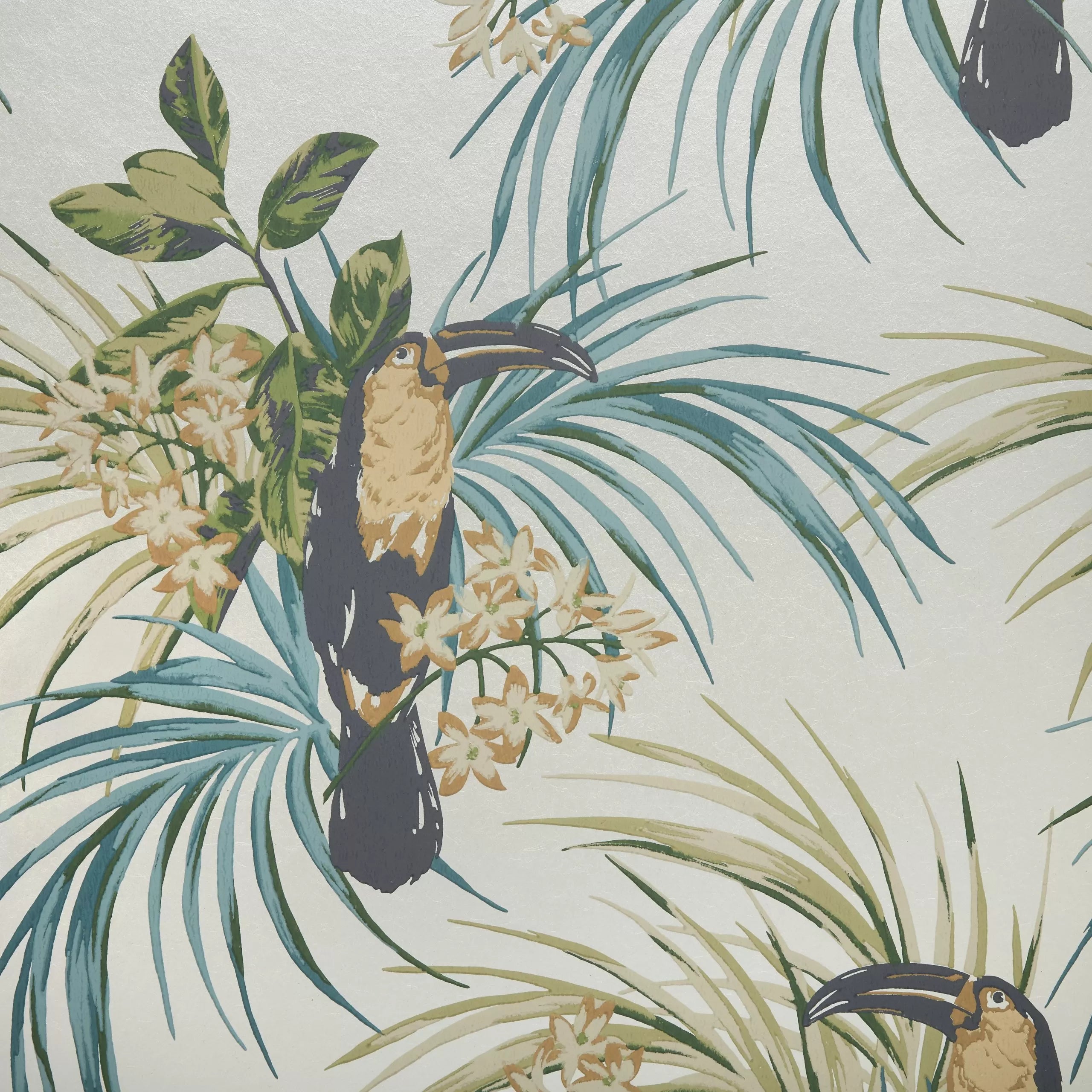 Le Toucan Luxury Bird Wallpaper by 1838