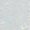 Taupe /bleu doux