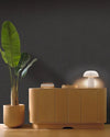 Curved Line Wallpaper by Caselio