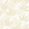 Little Botanica Wallpaper by Caselio