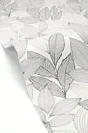 Little Botanica Wallpaper by Caselio