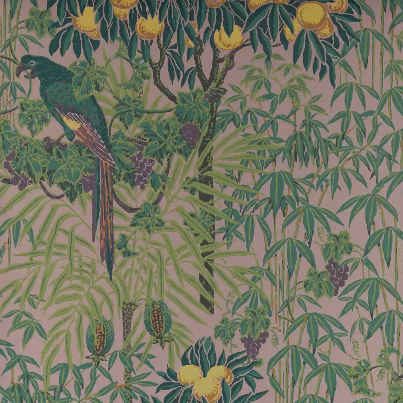 Macaw Wallpaper V&A  and 1838 Collaboration