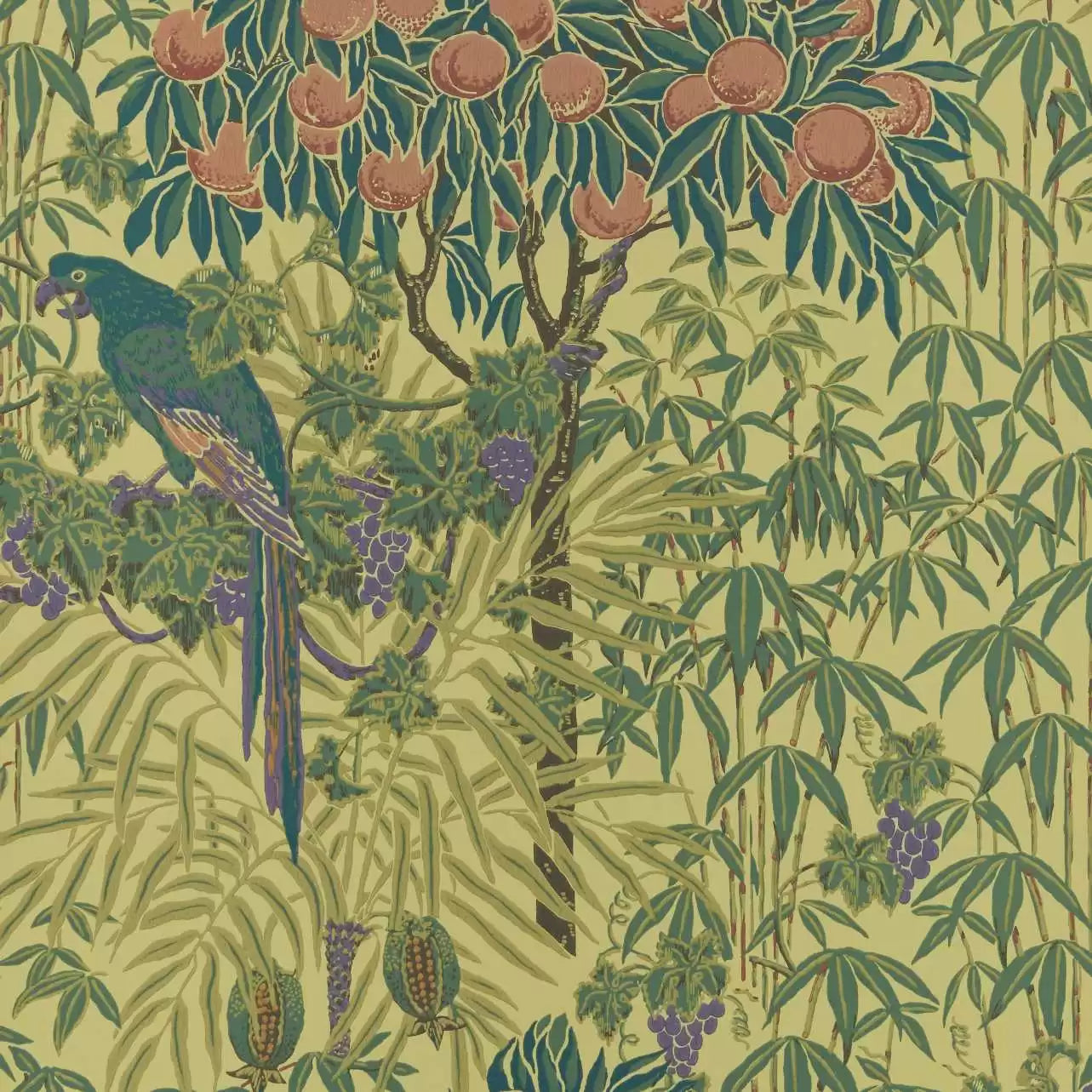 Macaw Wallpaper V&A  and 1838 Collaboration