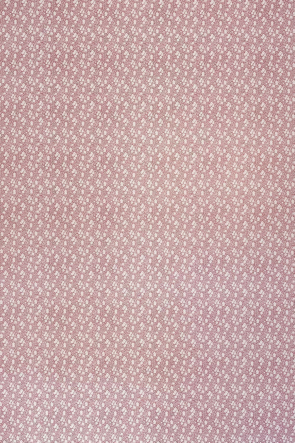 Calico Wallpaper collaboration with Burleigh