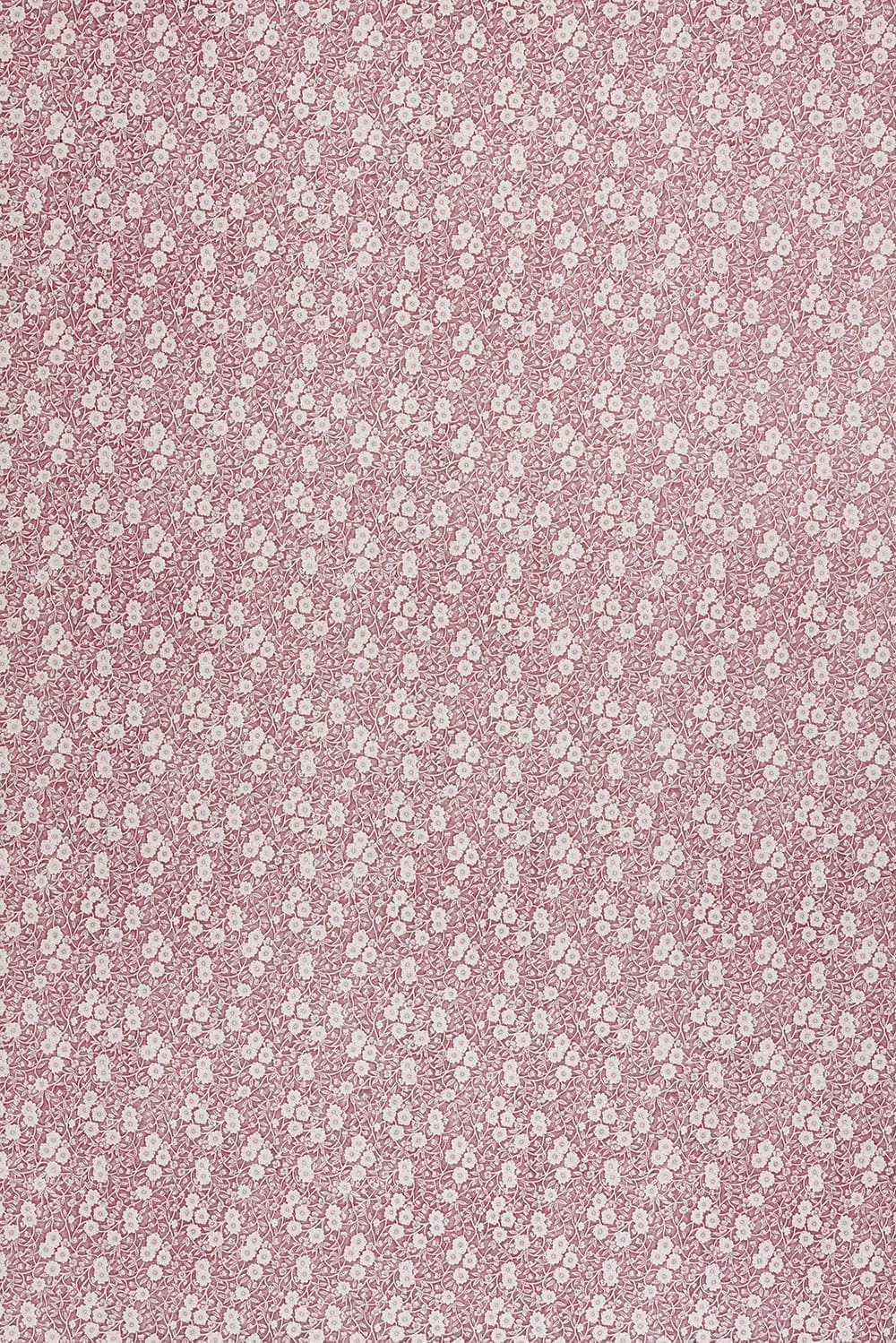 Calico Wallpaper collaboration with Burleigh