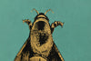 Napoleon Bee Wallpaper by Timorous Beasties