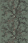 Grey Sage