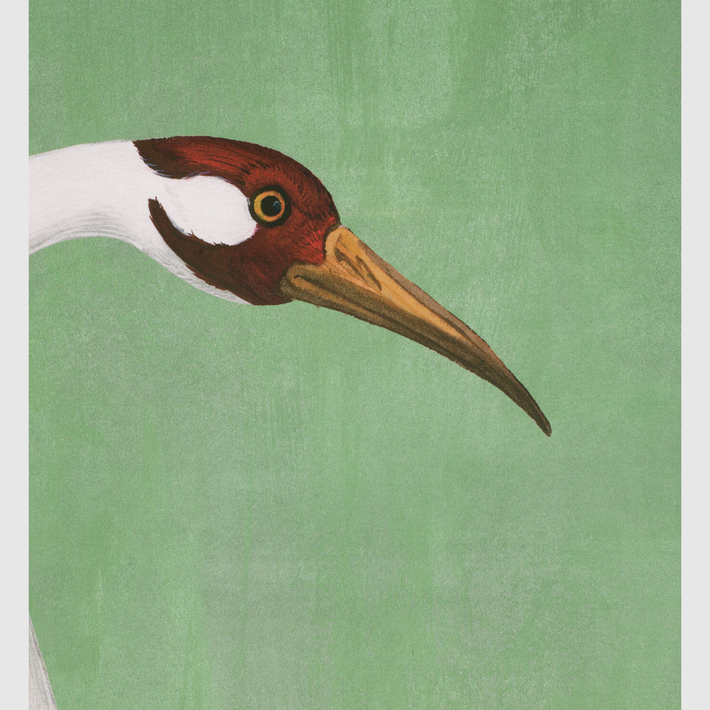 Gucci Heron Wallpaper