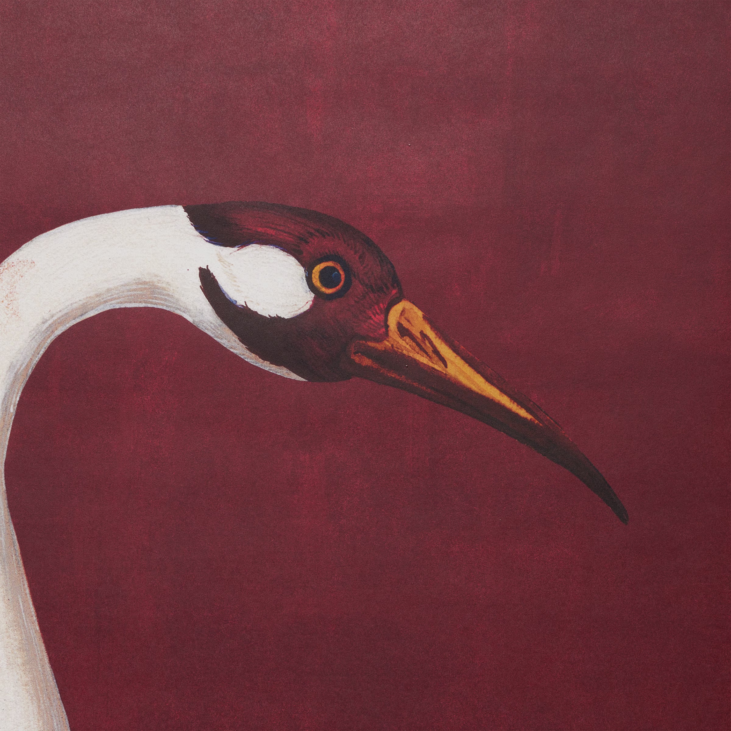 Gucci Heron Wallpaper