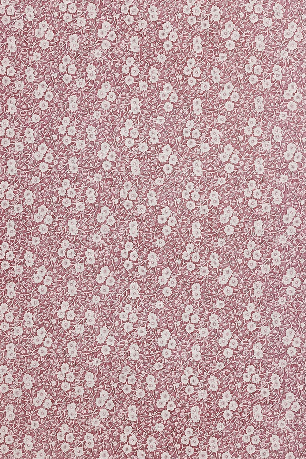 Calico Wallpaper collaboration with Burleigh