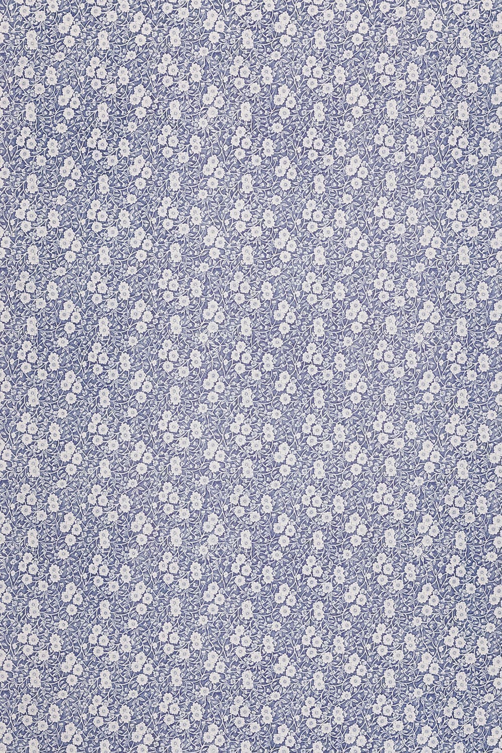 Calico Wallpaper collaboration with Burleigh