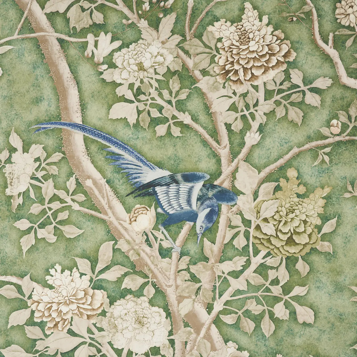 Les Oiseaux Panel Set by Schumacher