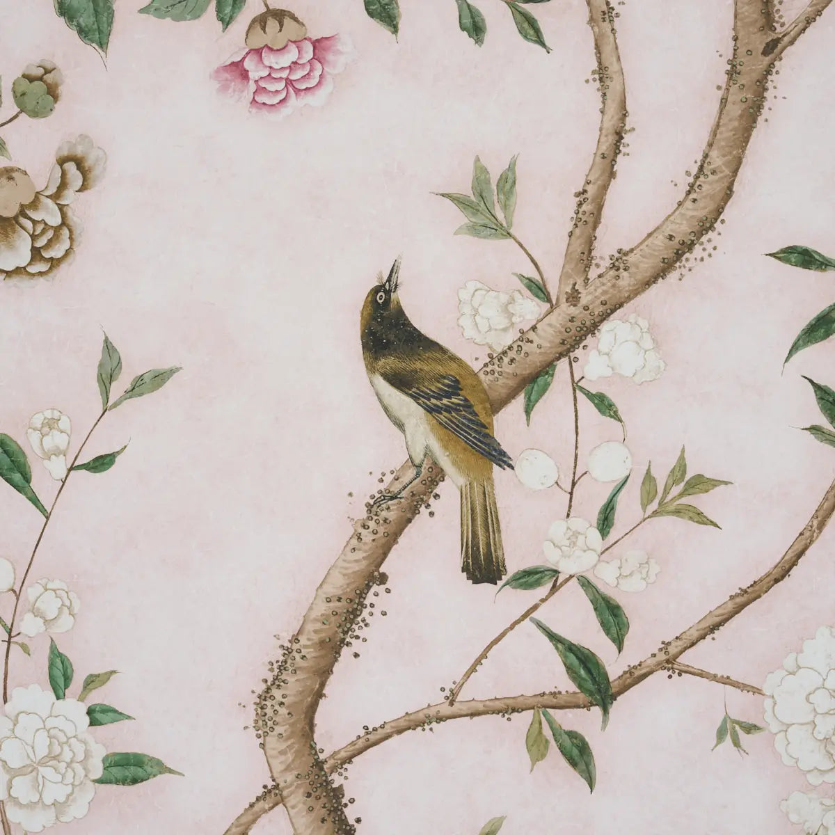 Les Oiseaux Panel Set by Schumacher