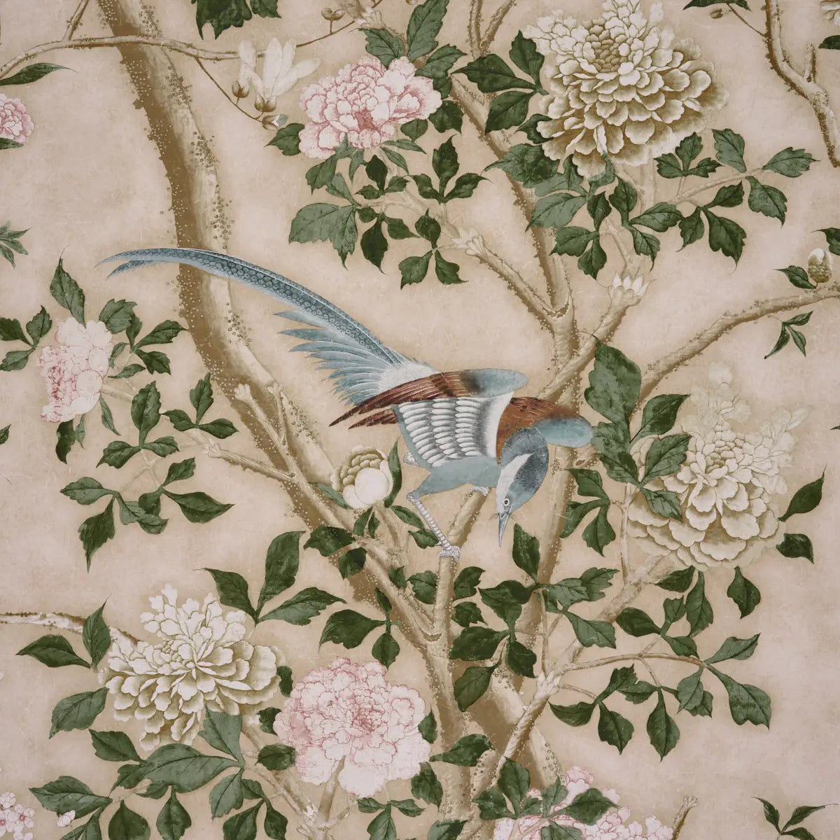 Les Oiseaux Panel Set by Schumacher