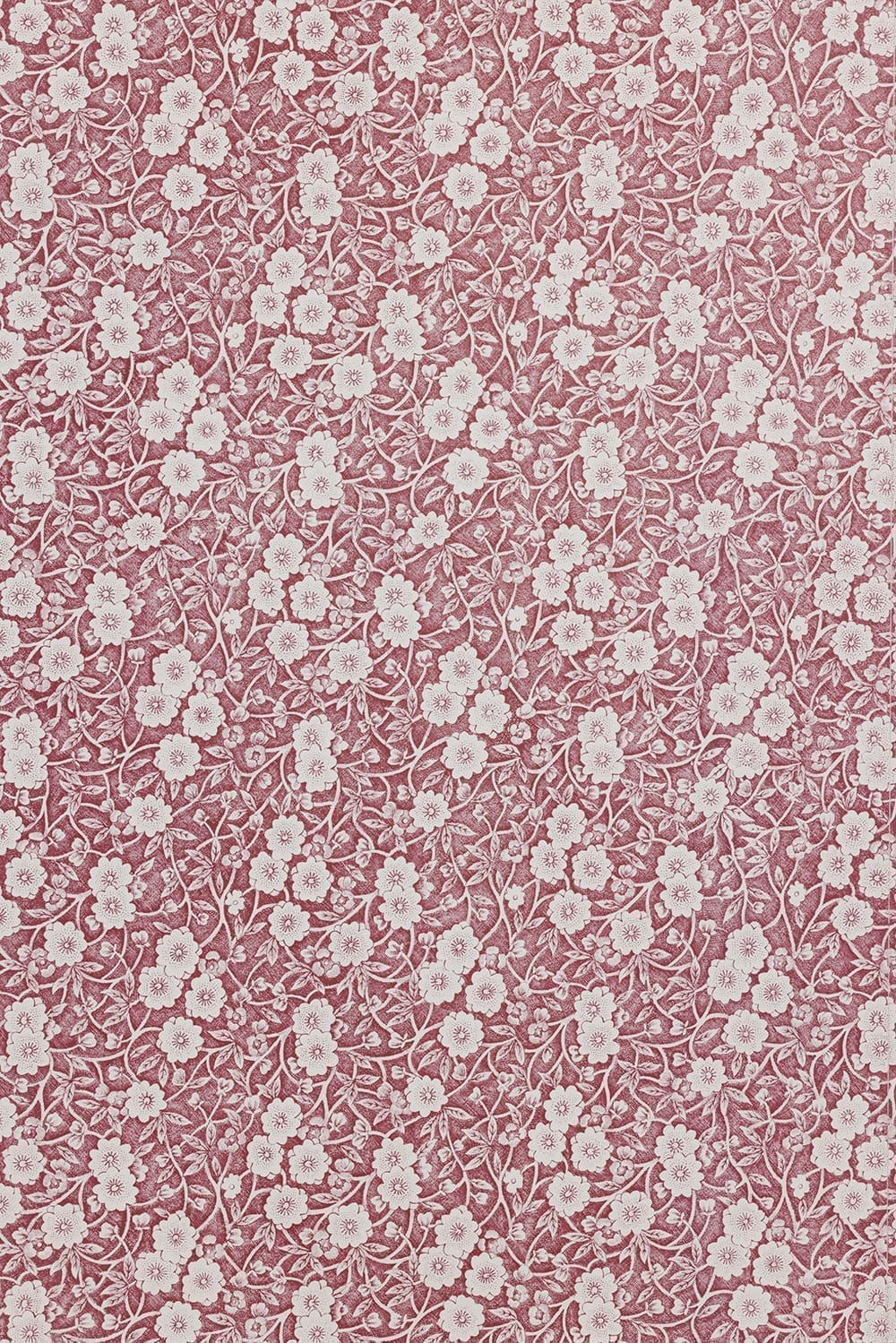 Calico Wallpaper collaboration with Burleigh