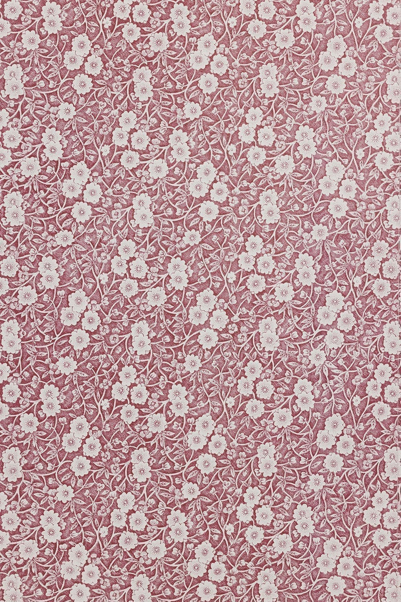 Calico Wallpaper collaboration with Burleigh