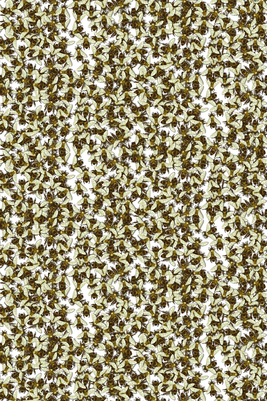 Wild Honey Bee Allover Wallpaper by Timorous Beasties