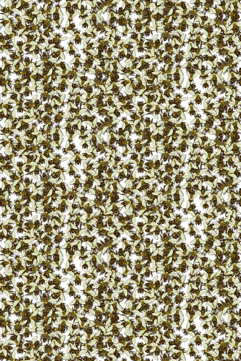 Wild Honey Bee Allover Wallpaper by Timorous Beasties