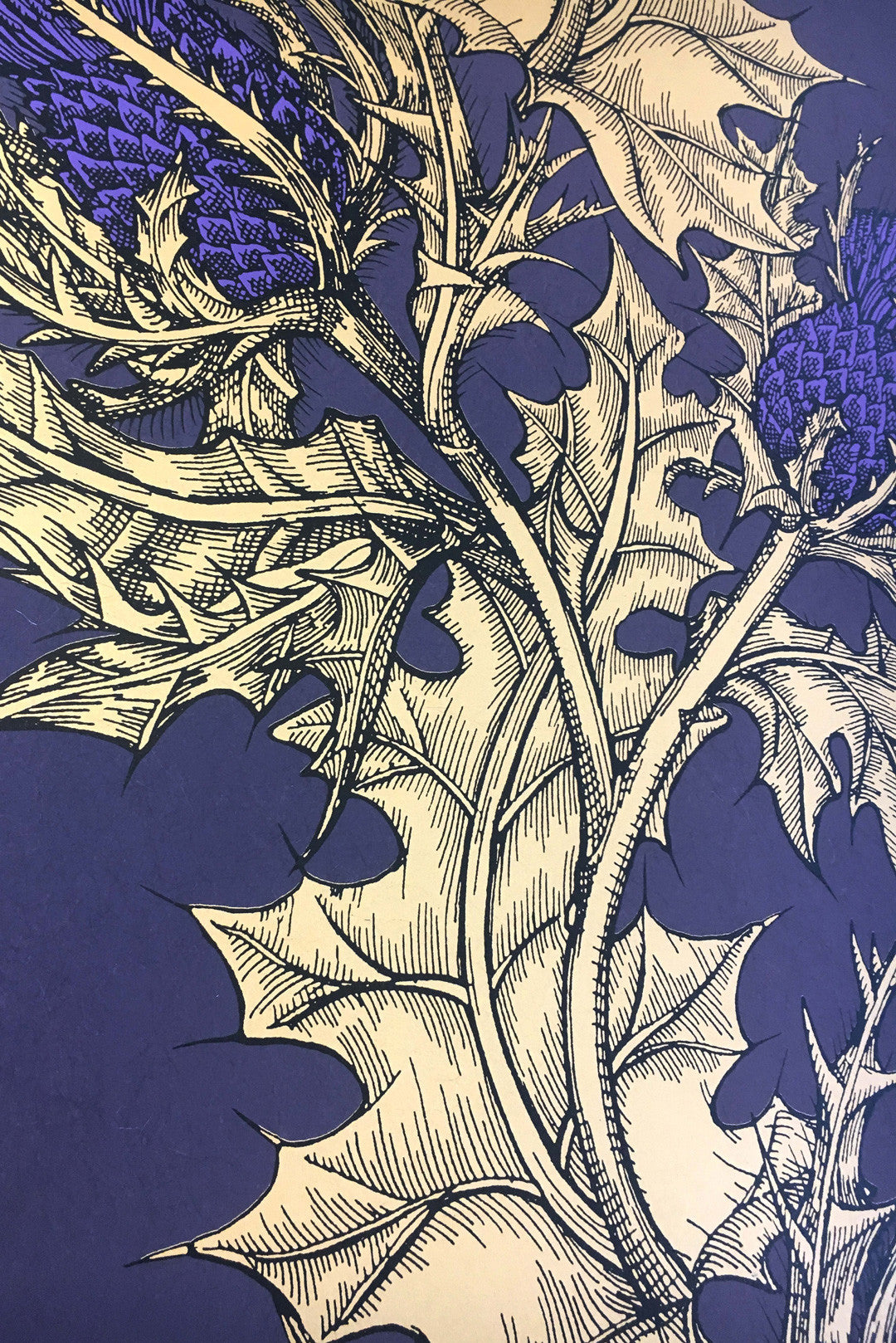 Grand Thistle Wallpaper by Timorous Beasties