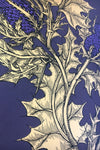 Gold & Purple on Peregrine