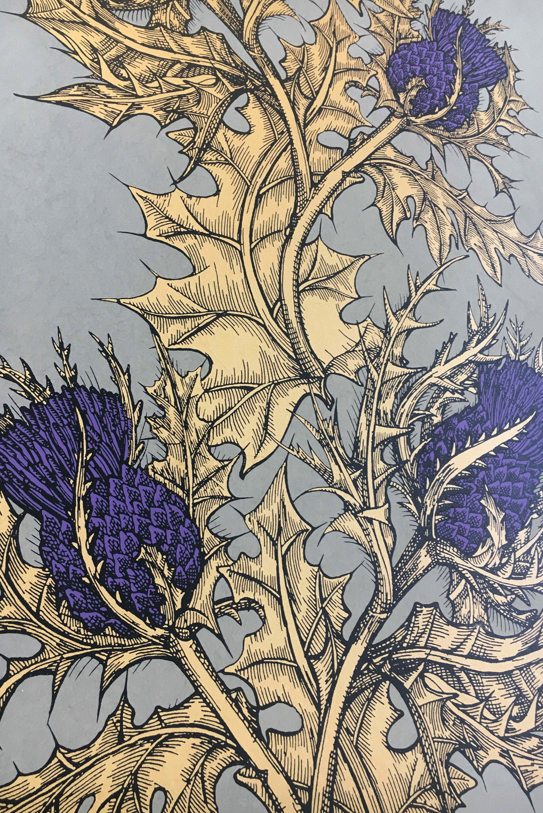 Grand Thistle Wallpaper by Timorous Beasties
