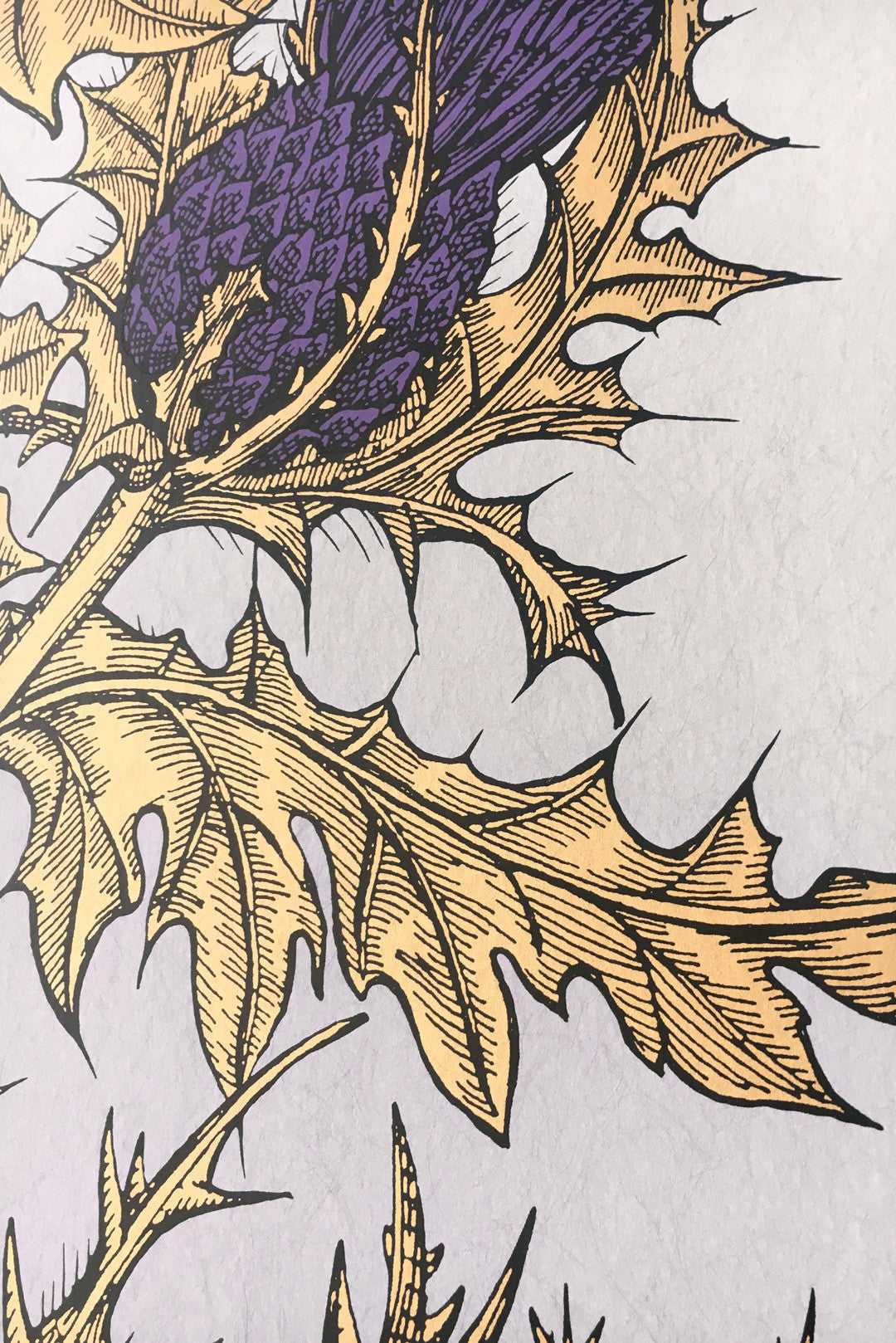 Grand Thistle Wallpaper by Timorous Beasties