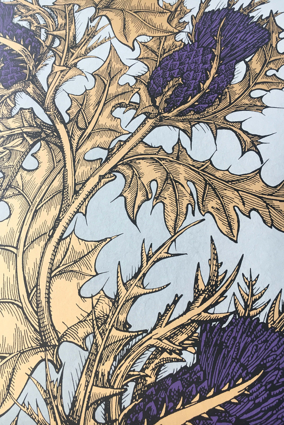 Grand Thistle Wallpaper by Timorous Beasties