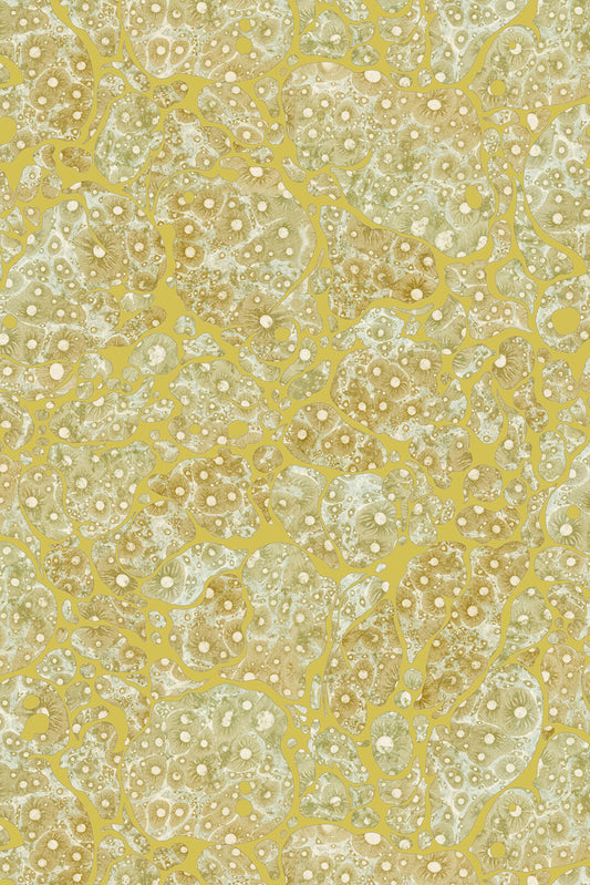 Moon Rock Cork Wallpaper by Timorous Beasties