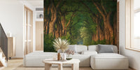 Soft Morning Light at the Acacias Mural by HappyWall