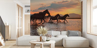 Water Horses Mural by HappyWall